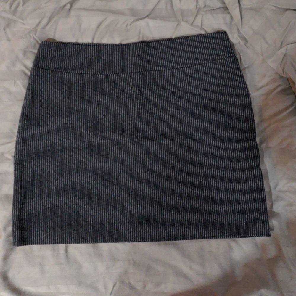 NWOT Windsor skirt